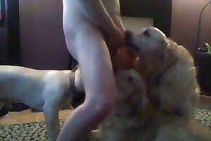 guy animal sex,animal fucking